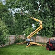 Best Lawn Disease Treatment  in Hurstbourne Acres, KY