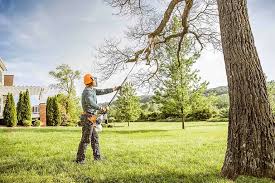 Best Soil Testing and Treatment  in Hurstbourne Acres, KY