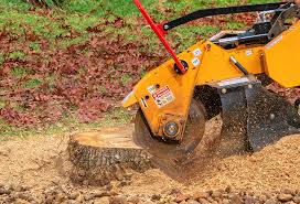 Professional Tree Services in Hurstbourne Acres, KY