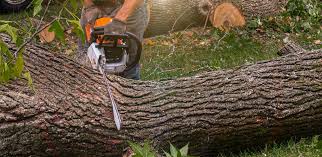 Best Lawn Watering Services  in Hurstbourne Acres, KY