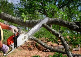  Hurstbourne Acres, KY Tree Services Pros