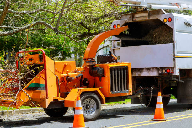 Best Tree Risk Assessment  in Hurstbourne Acres, KY