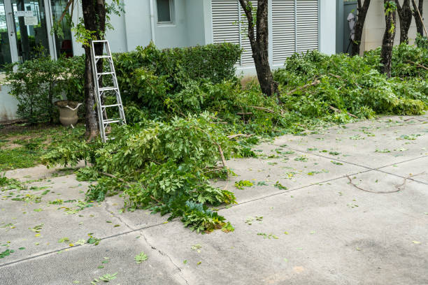 Best Arborist Consultation Services  in Hurstbourne Acres, KY