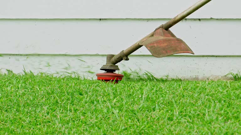 Best Leaf Removal  in Hurstbourne Acres, KY